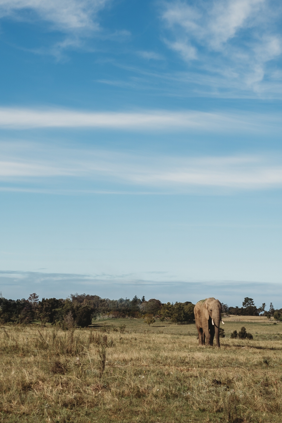 FIH Fotografie » Zuid Afrika